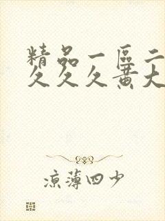 精品一区二区久久久久黄大片