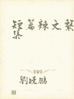 短篇辣文系列合集