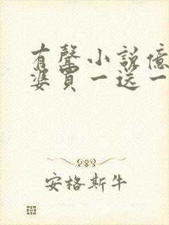 有声小说亿万老婆买一送一