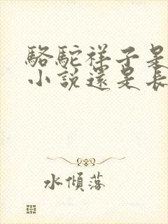 骆驼祥子是短篇小说还是长篇小说