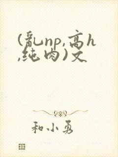 (乱np,高h,纯肉)文