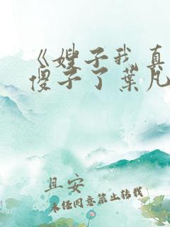 《嫂子我真不是傻子了叶凡》