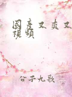 国产又爽又黄的视频