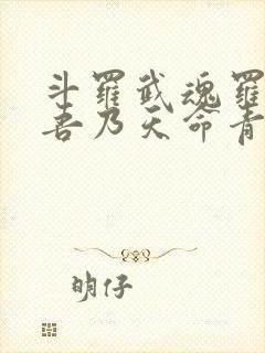 斗罗武魂罗三炮吾乃天命青龙笔趣阁