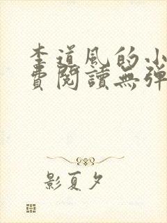 李道风的小说免费阅读无弹窗