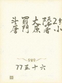 斗罗大陆2绝世唐门原著小说