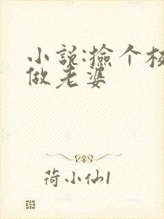 小说:捡个校花做老婆