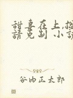 甜妻在上,总裁请克制 小说