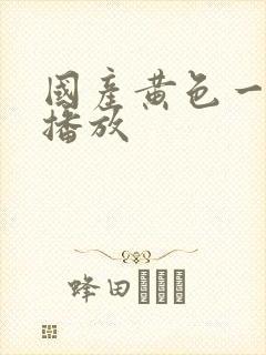 国产黄色一级片播放