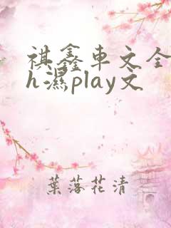 祺鑫车文全肉高h湿play文