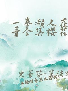 一拳超人在线观看全集樱花