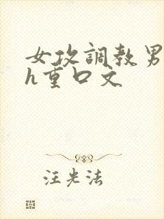 女攻调教男受高h重口文