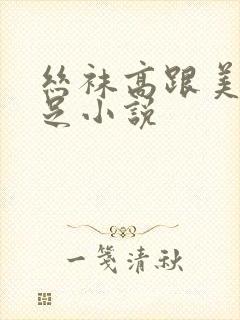 丝袜高跟美腿玉足小说