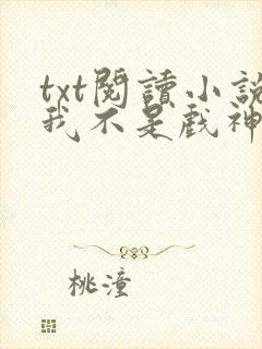 txt阅读小说我不是戏神