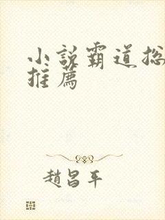 小说霸道总裁文推荐