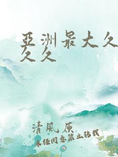 亚洲最大久久久久久