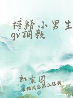 榨精小男生小蓝gv调教