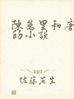 陈万里和唐嫣然的小说