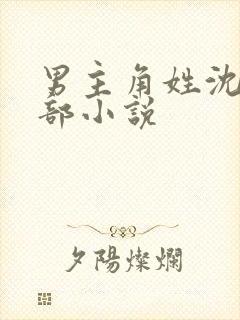 男主角姓沈的全部小说