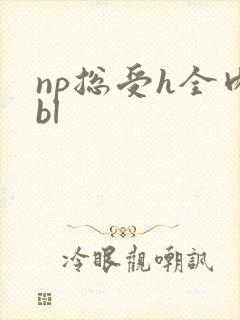 np总受h全肉bl