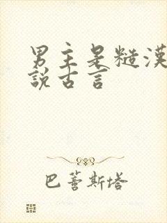 男主是糙汉的小说古言