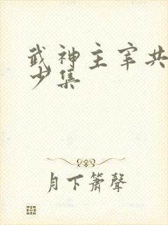 武神主宰共有多少集