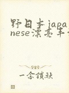 野日本japanese漂亮丰满
