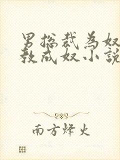 男总裁为奴被调教成奴小说