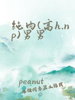 纯肉(高h.np)男男