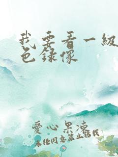 我要看一级片黄色录像