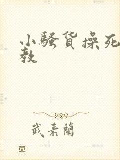 小骚货操死你调教