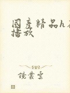 国产精品h在线播放