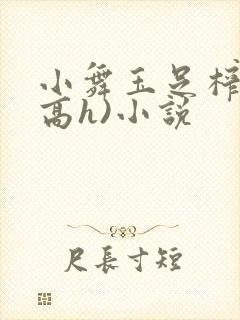 小舞玉足榨精(高h)小说