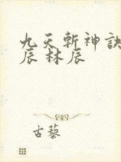九天斩神诀 林辰 林辰