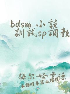 bdsm 小说 训诫sp调教