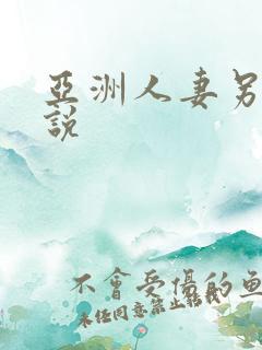 亚洲人妻另类小说