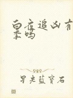 白夜追凶有第二季吗