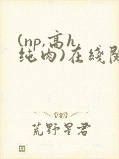 (np,高h,纯肉)在线阅读