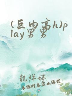(巨肉高h)play男男