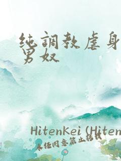 纯调教虐身惩罚男奴