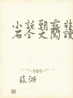 小说朝露非木非石全文阅读