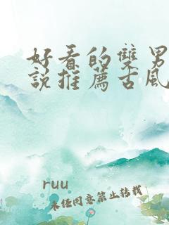 好看的双男主小说推荐古风