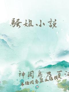 骚姐小说