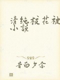 清纯校花被侵犯小说