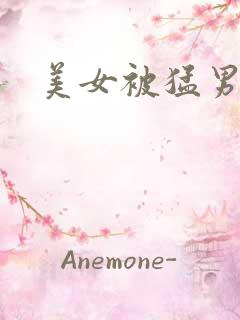 美女被猛男爆操