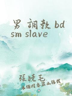 男 调教 bdsm slave