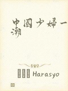 中国少妇一级高潮