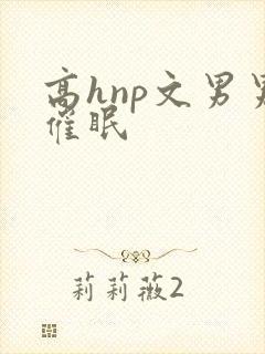 高hnp文男男催眠
