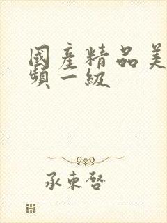 国产精品美女视频一级