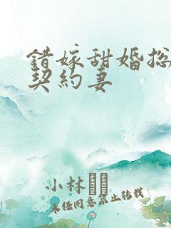 错嫁甜婚总裁的契约妻